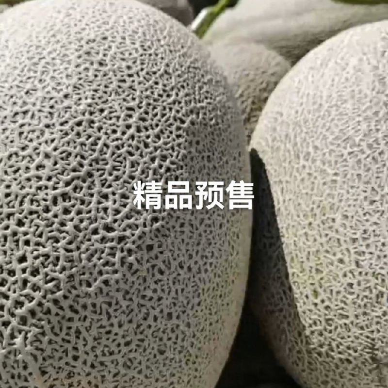 西州蜜17号大吨位供货，一手货源，规格齐全欢迎来电咨询