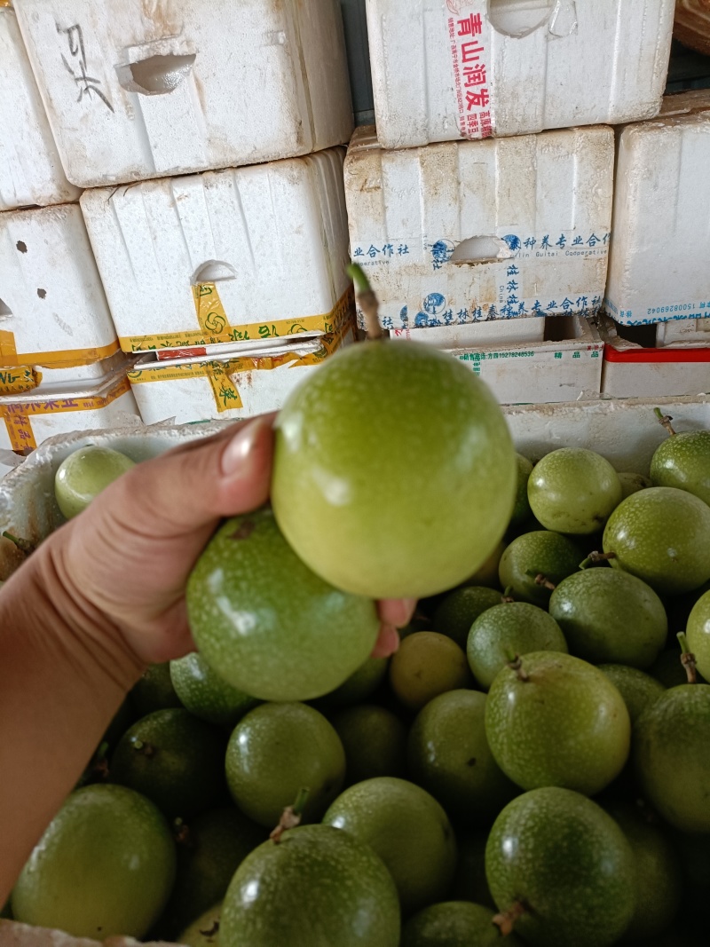 黄金百香果产地直发一手货源，甜度高，保质保量欢迎老板选购