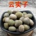 中药材托叶云实云实子马豆朝天子甲木哲