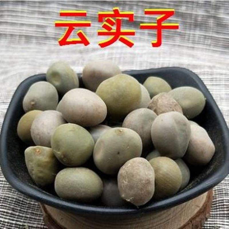 中药材托叶云实云实子马豆朝天子甲木哲