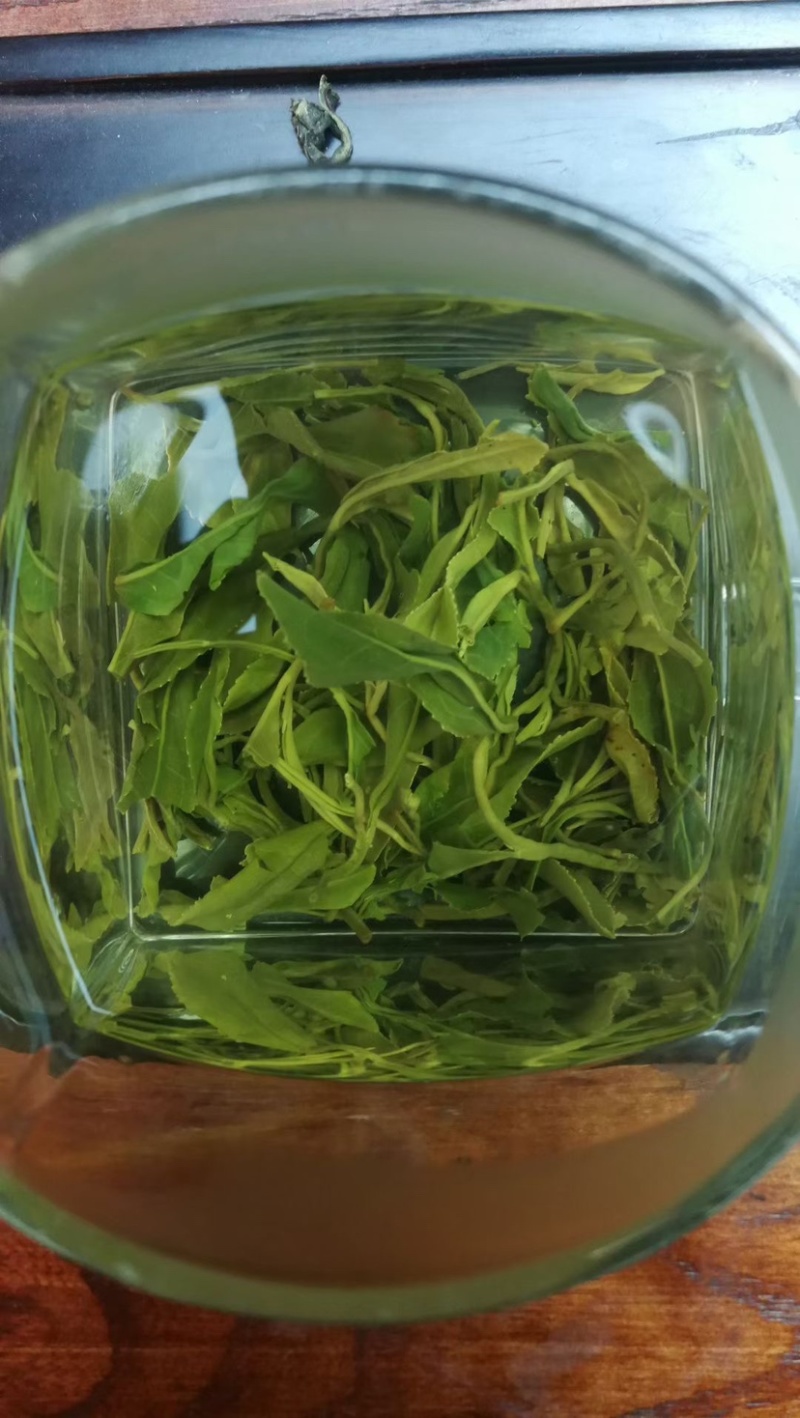 日照绿茶，山东绿茶，云雾绿茶，新茶