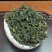 日照绿茶，山东绿茶，云雾绿茶，新茶