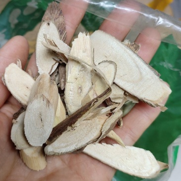 中药材棉花根