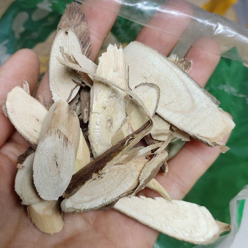 中药材棉花根