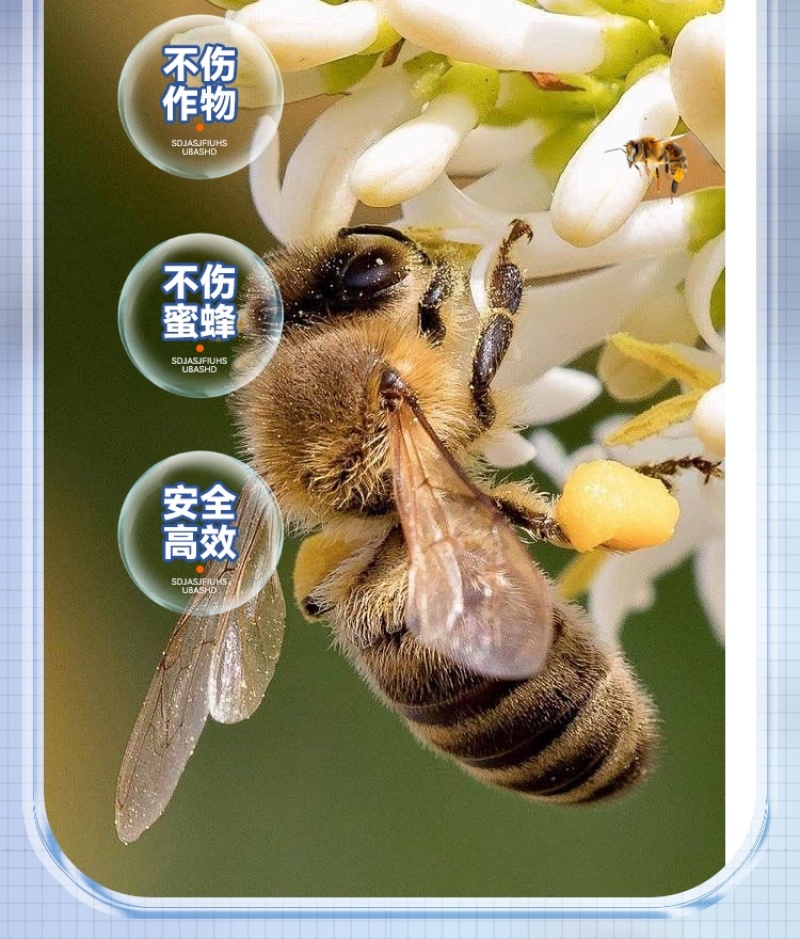 红蜘蛛专用乙螨唑草莓月季果树柑橘西瓜等通用农药杀虫剂