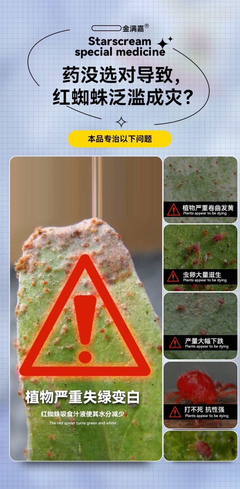 红蜘蛛专用乙螨唑草莓月季果树柑橘西瓜等通用农药杀虫剂