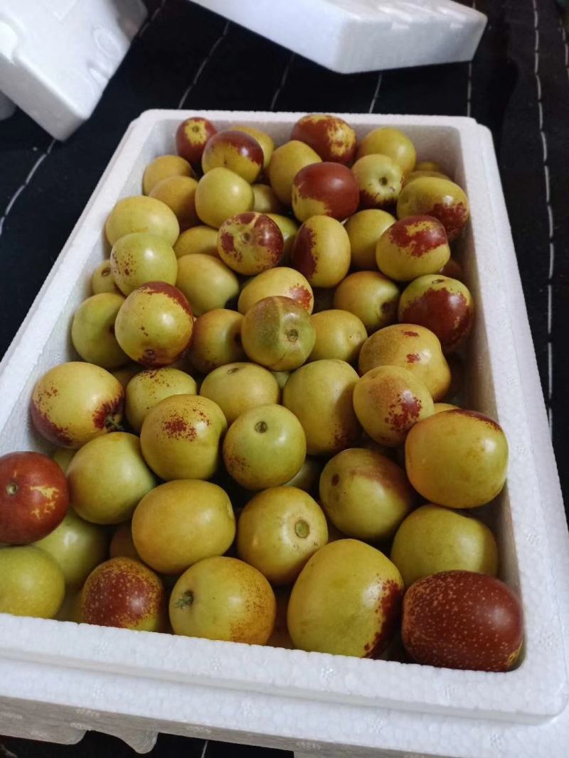 大荔冬枣