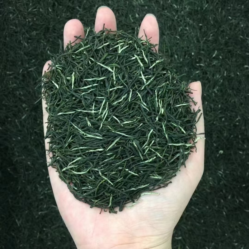 供应绿茶毛尖茶