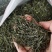 供应绿茶毛尖茶