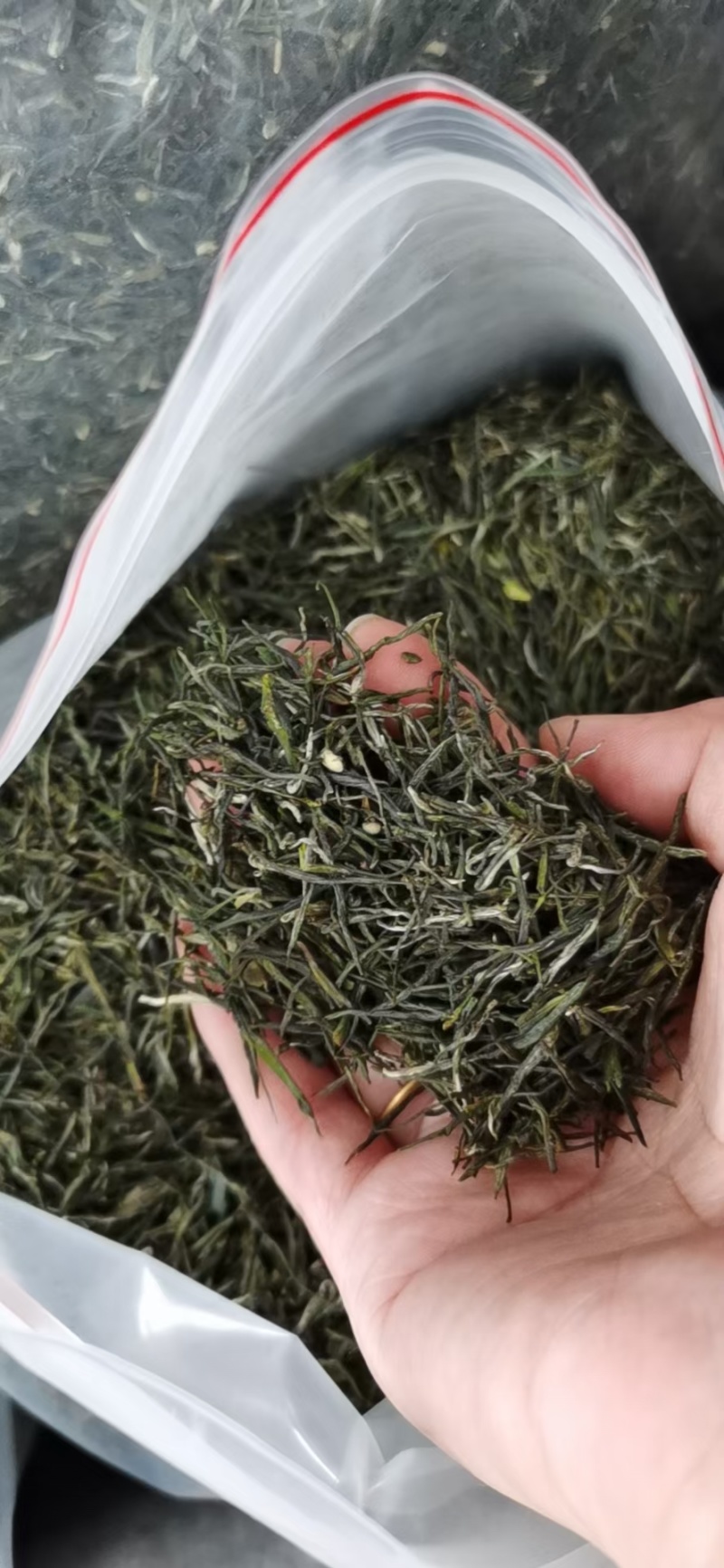 供应绿茶毛尖茶