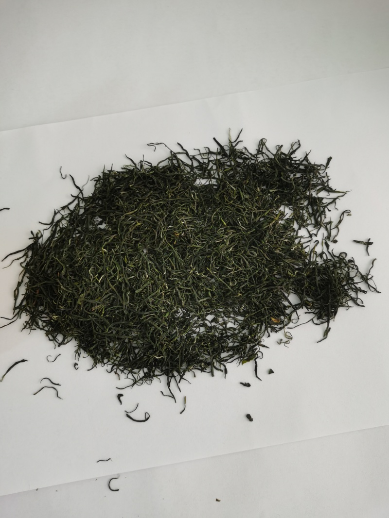 供应绿茶毛尖茶