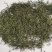 供应绿茶毛尖茶