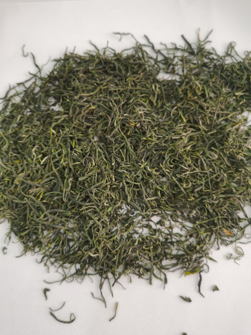 供应绿茶毛尖茶