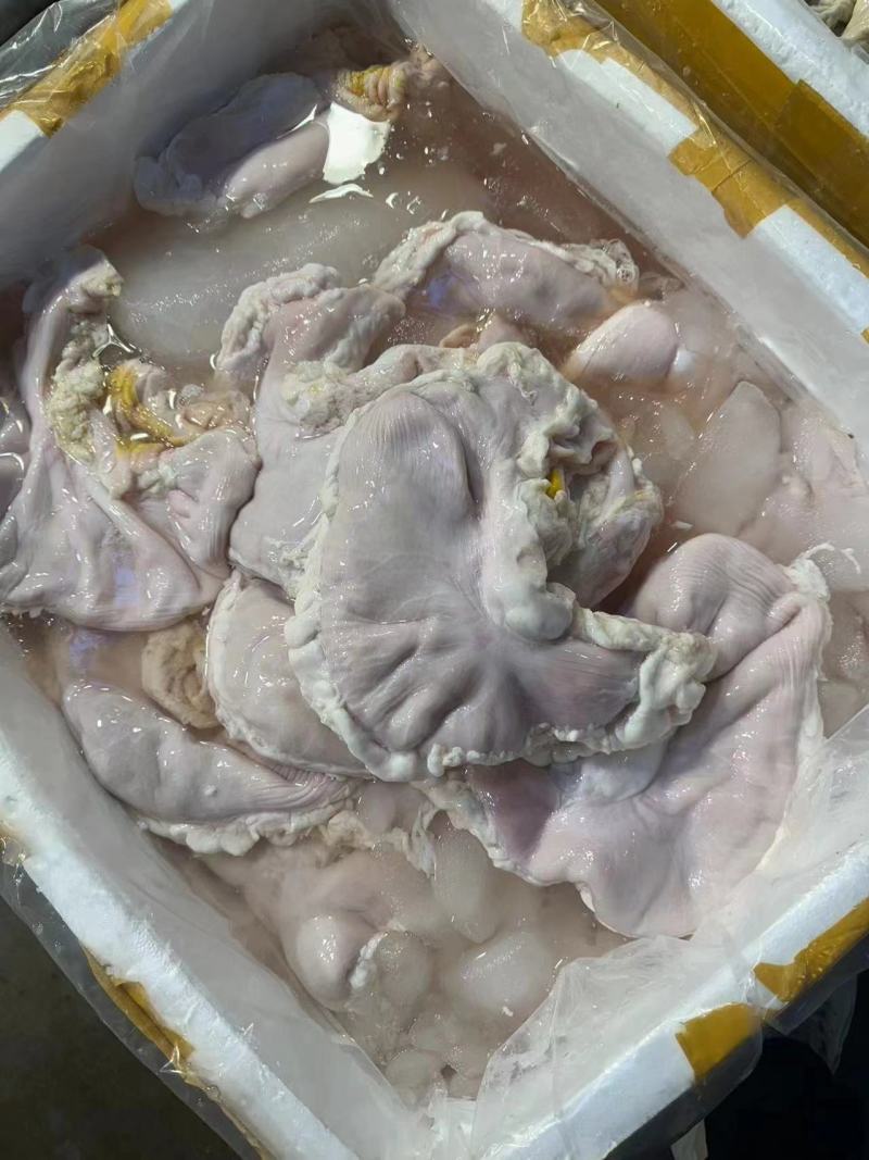 纯干鲜品猪肚，单个重量一斤半，价格27一个，全国发货包邮