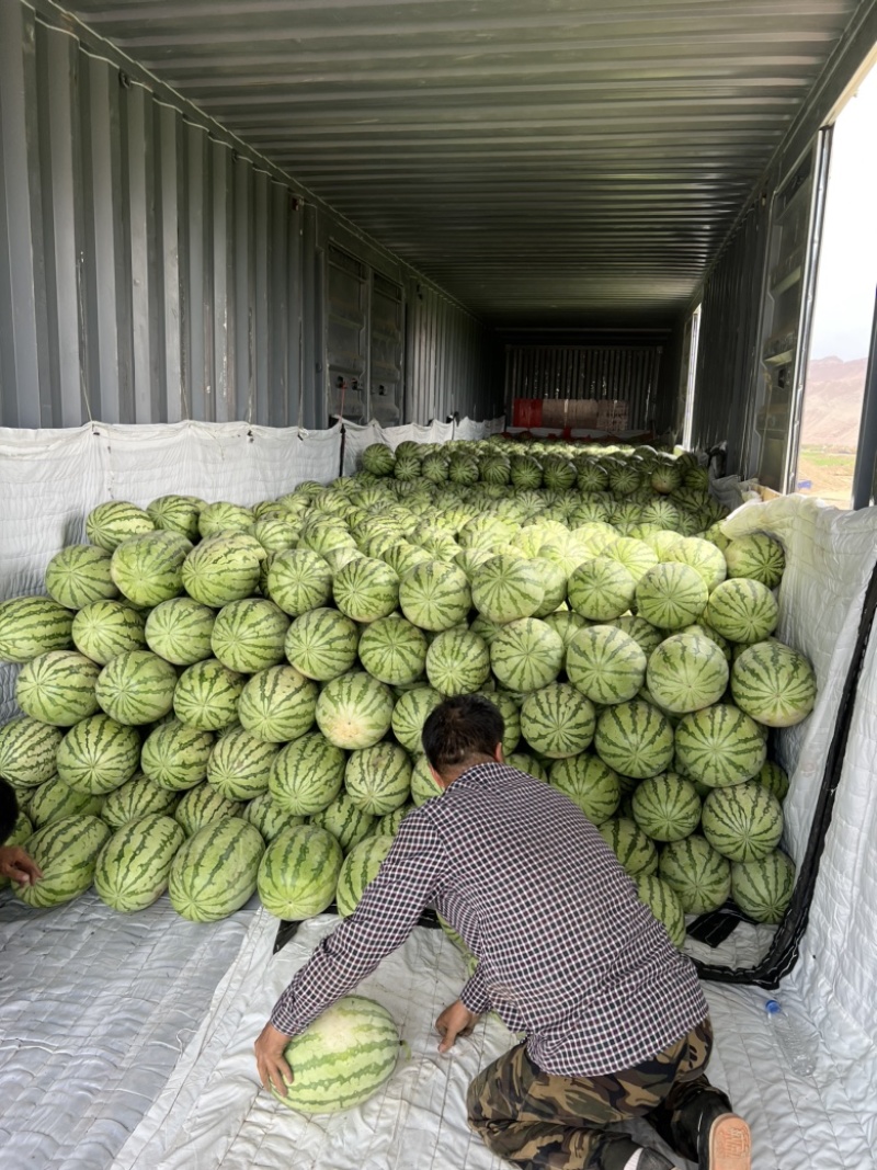 新疆双红金城口感脆甜爽口汁水多品相好一手货源