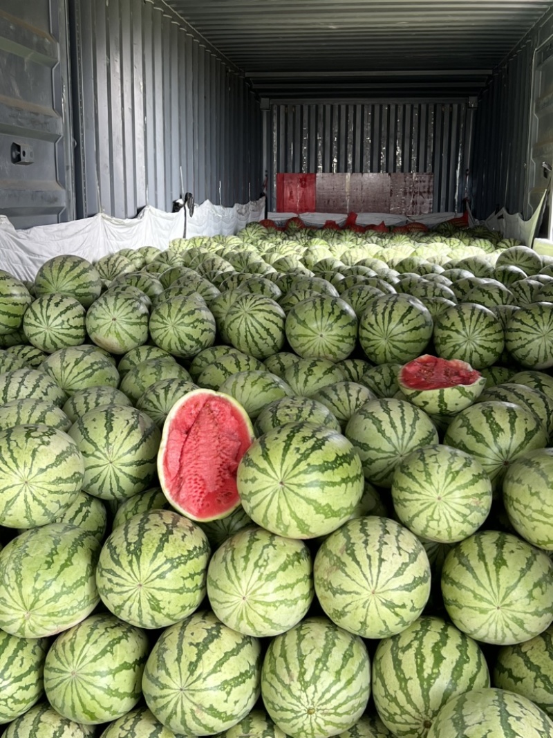 新疆双红金城口感脆甜爽口汁水多品相好一手货源