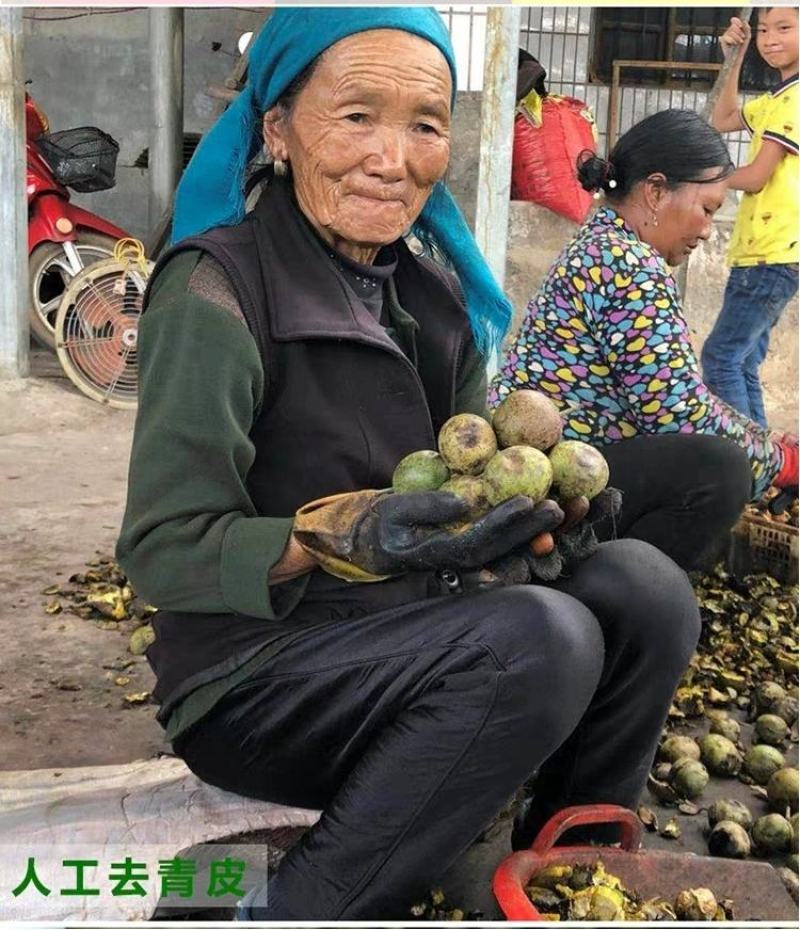 云南大理薄皮核桃基地直发可供货可一件代发