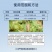 稼泰羟烯吗啉胍农药杀菌剂羟烯吗啉胍番茄烟草病毒病