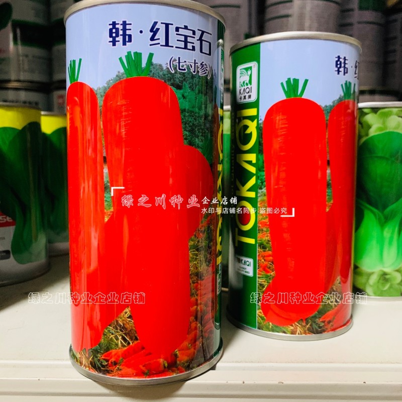 韩红宝石七寸参胡萝卜种子三红七寸胡萝卜种子根形整齐品质优