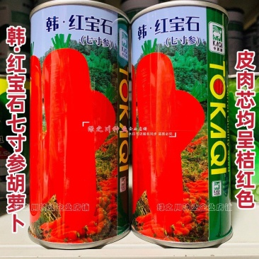 韩红宝石七寸参胡萝卜种子三红七寸胡萝卜种子根形整齐品质优