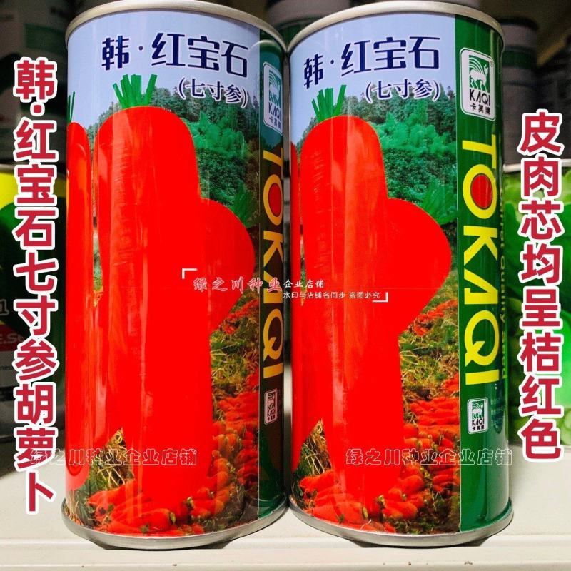 韩红宝石七寸参胡萝卜种子三红七寸胡萝卜种子根形整齐品质优