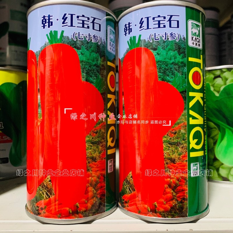 韩红宝石七寸参胡萝卜种子三红七寸胡萝卜种子根形整齐品质优