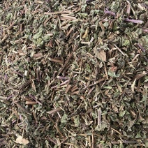 薄荷