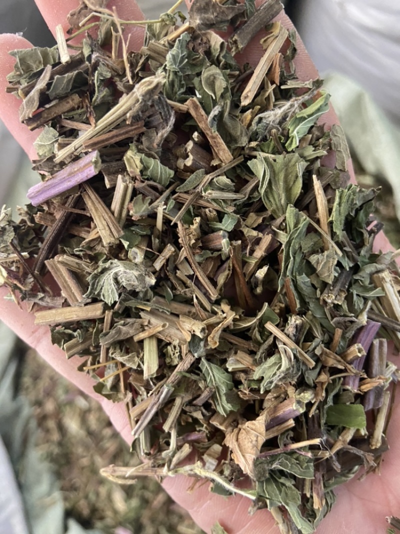 薄荷
