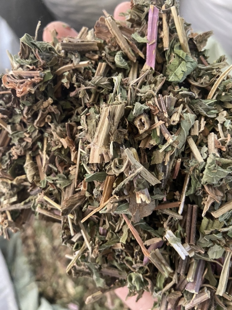 薄荷