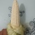 白糯玉米，软糯香甜，颗粒雪白无杂粒，米粒封顶，老嫩程度刚
