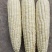 白糯玉米，软糯香甜，颗粒雪白无杂粒，米粒封顶，老嫩程度刚