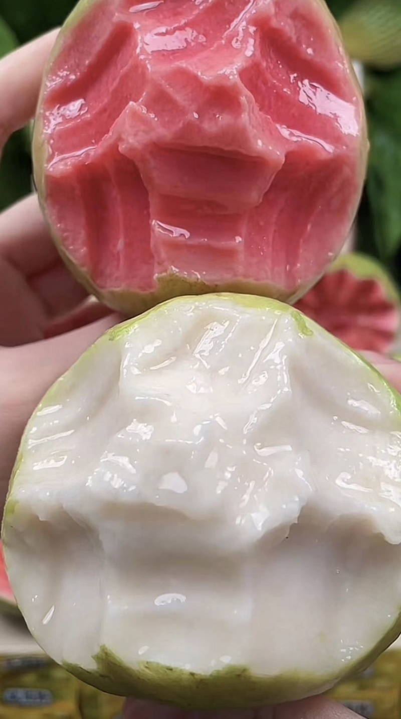 广东广西番石榴（芭乐）红心白心货源稳定，常年供应，可一件