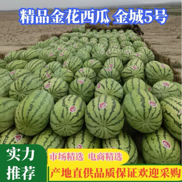 【推荐】陕西精品金花西瓜金城5号西瓜产地直发代发全国