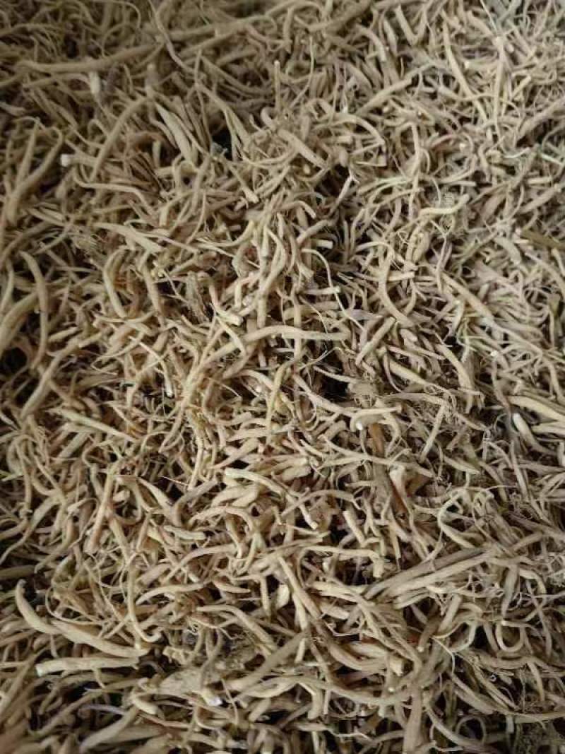 贵州太子参根须太子参尾子熬膏药打粉入药用品