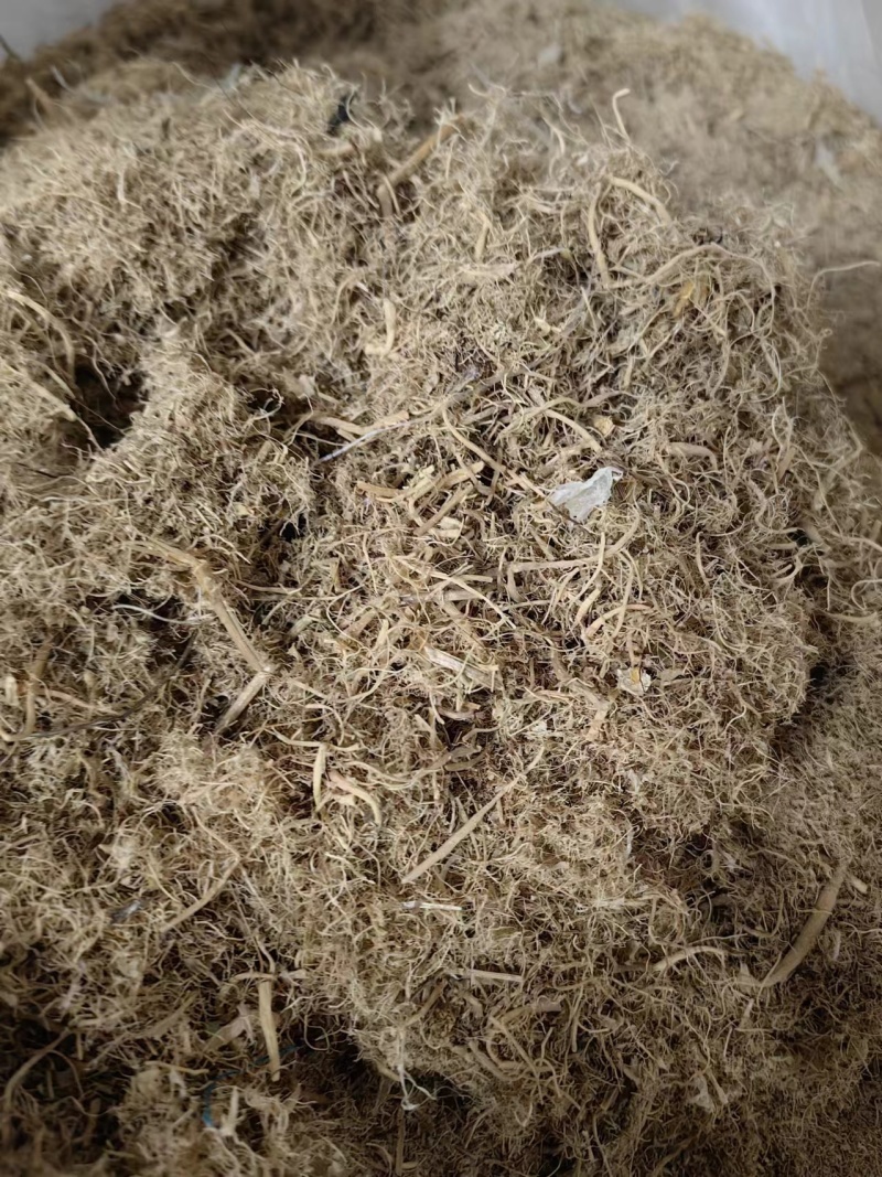 贵州太子参根须太子参尾子熬膏药打粉入药用品