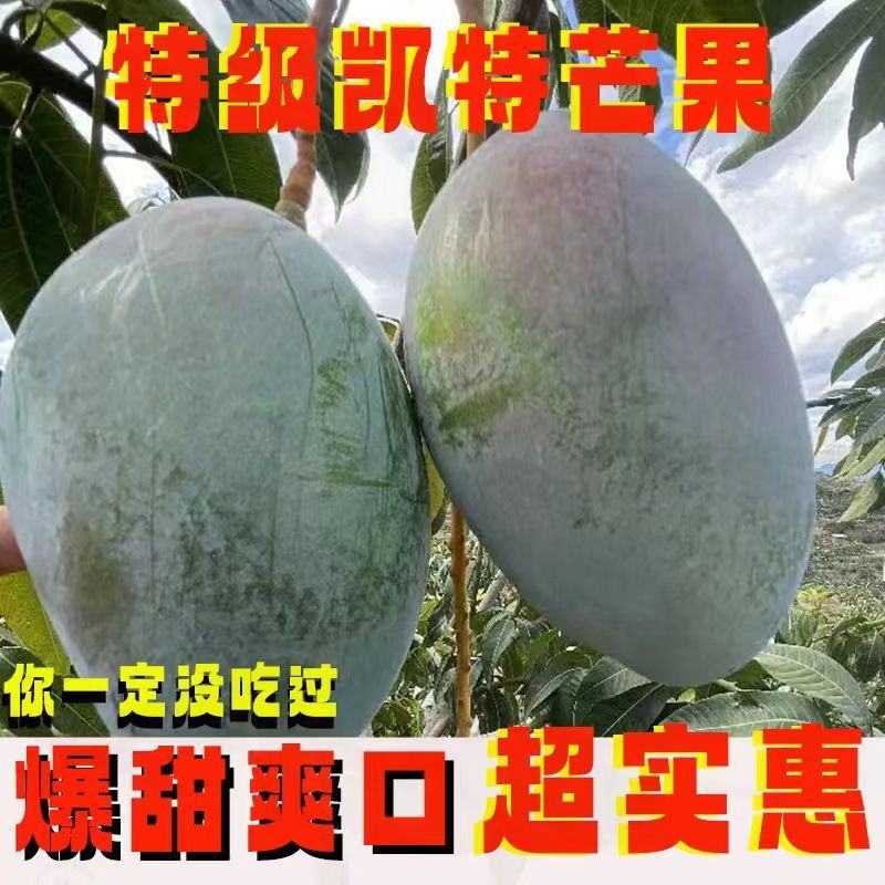 芒果凯特四川攀枝花大芒果超甜特大号新鲜水果批发9斤装整