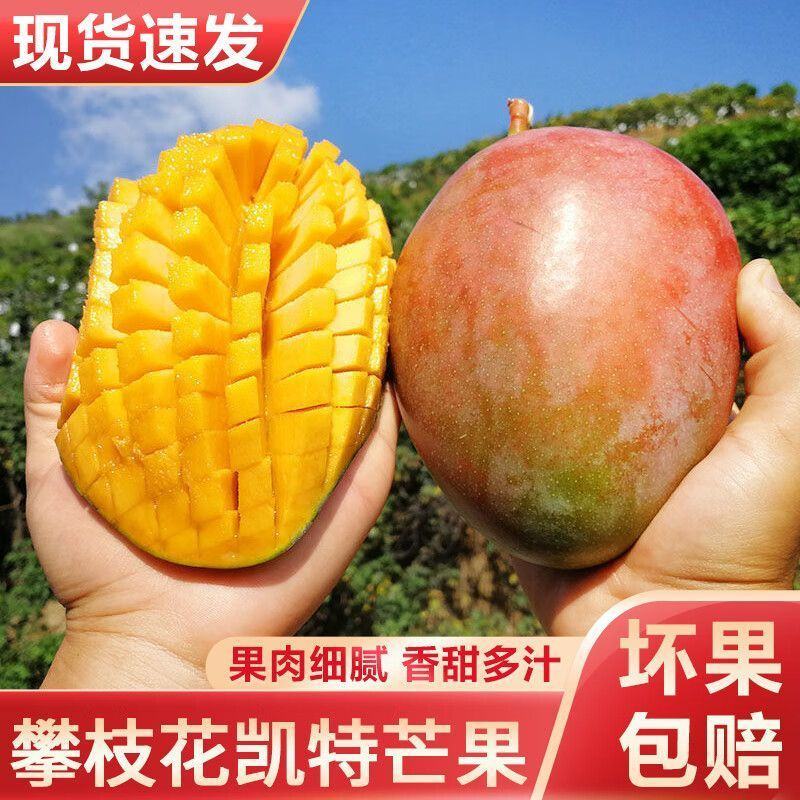 芒果凯特四川攀枝花大芒果超甜特大号新鲜水果批发9斤装整