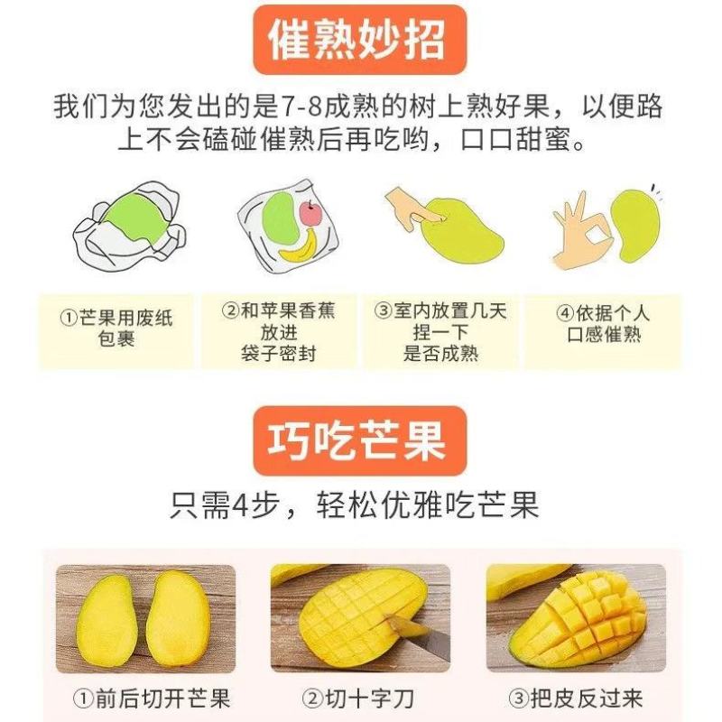 芒果凯特四川攀枝花大芒果超甜特大号新鲜水果批发9斤装整