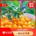 夏橙水分充足，，果面干净，电商，社团等量大优惠果园看货订
