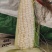大量供应，颗粒饱满