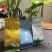 《福建》古法乌龙茶浓香型品鉴装三样共6小泡大量批发