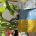 《福建》古法乌龙茶浓香型品鉴装三样共6小泡大量批发