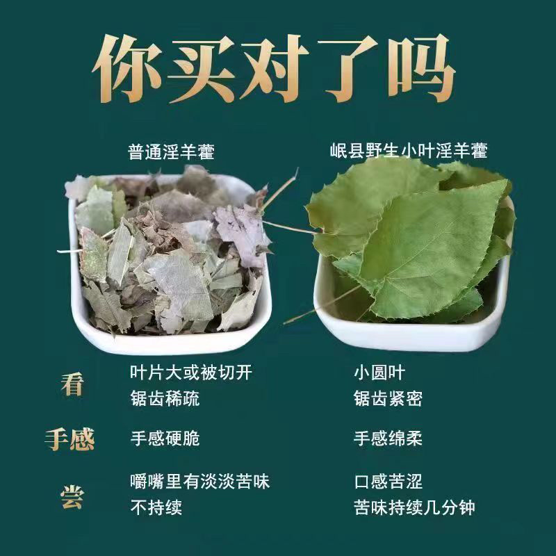 甘肃野生淫羊藿野生三只九叶草淫羊藿大量批发