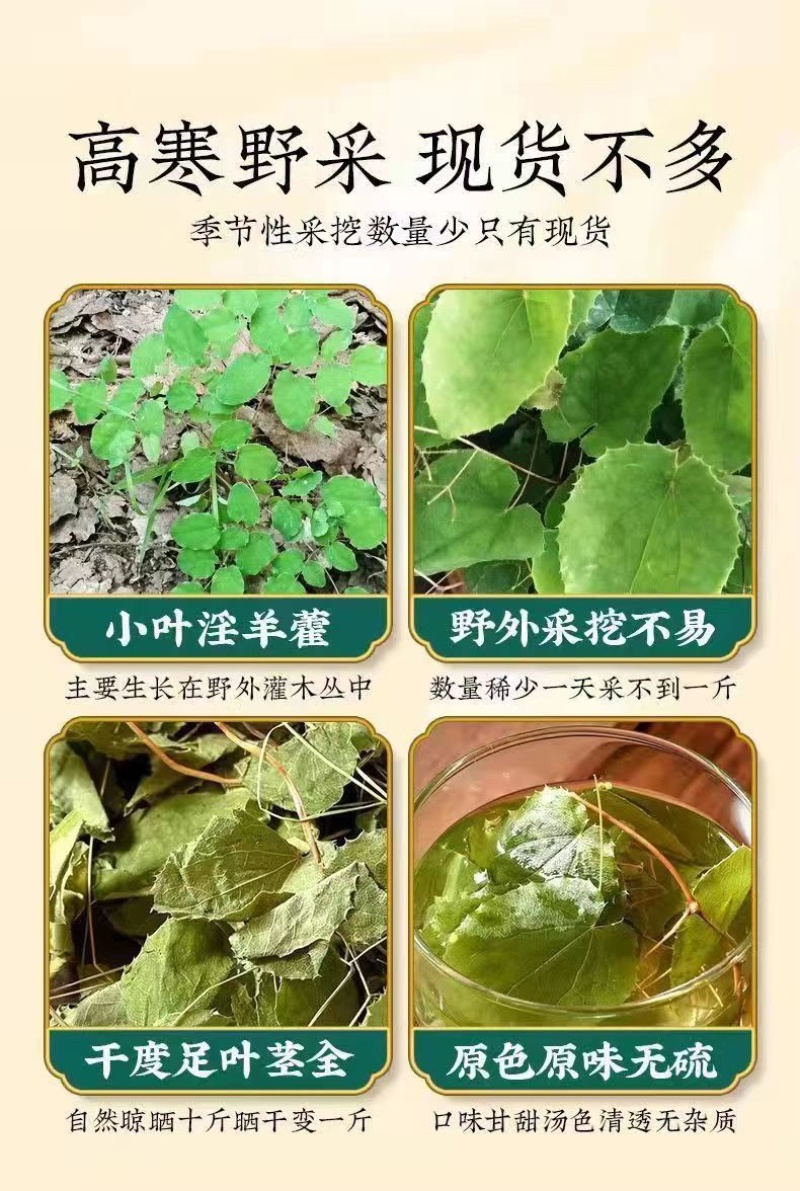 甘肃野生淫羊藿野生三只九叶草淫羊藿大量批发