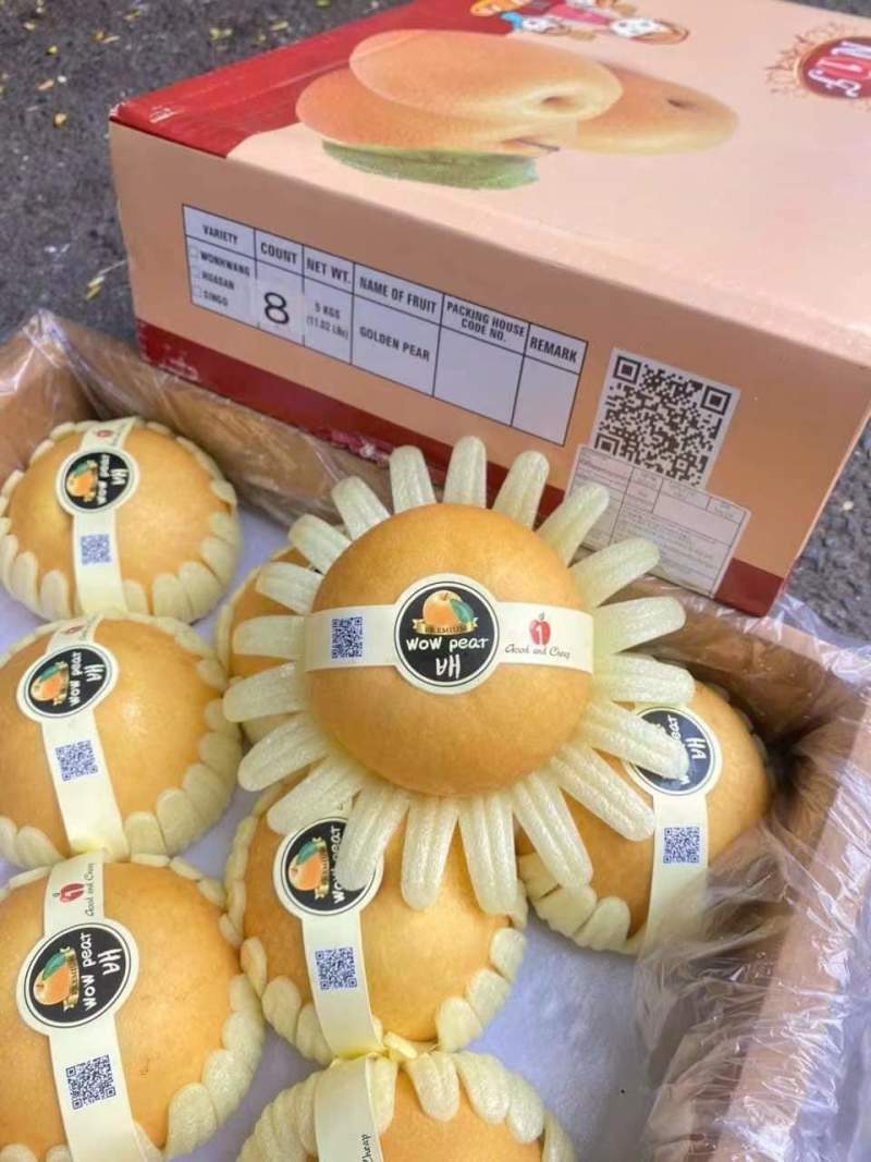 精品新高梨，产地直供，可做出口加工，代收代发全国各地