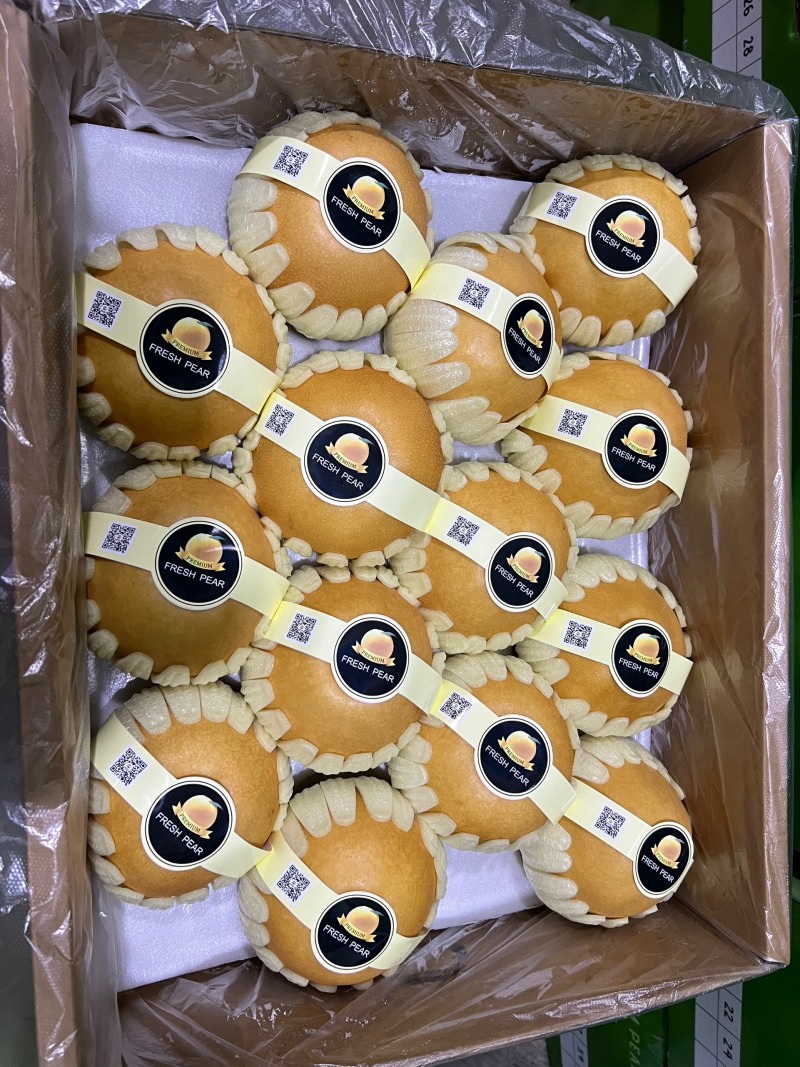 精品新高梨，产地直供，可做出口加工，代收代发全国各地