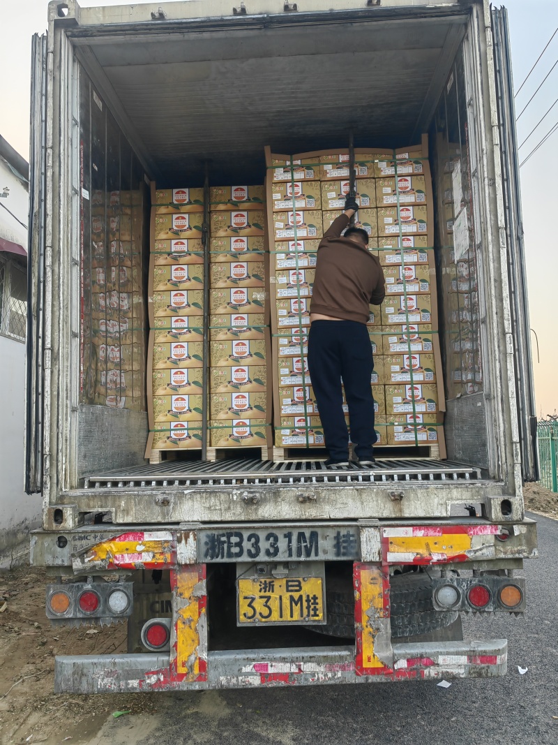 精品新高梨，产地直供，可做出口加工，代收代发全国各地