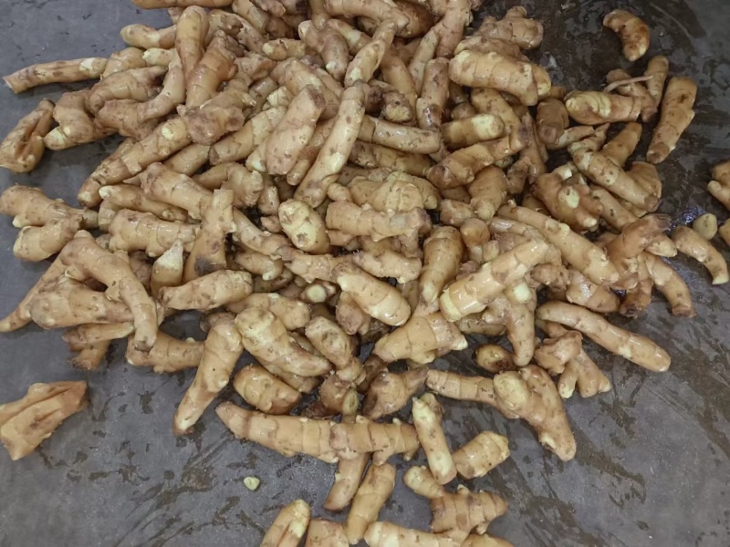 大量供应电商姜巴