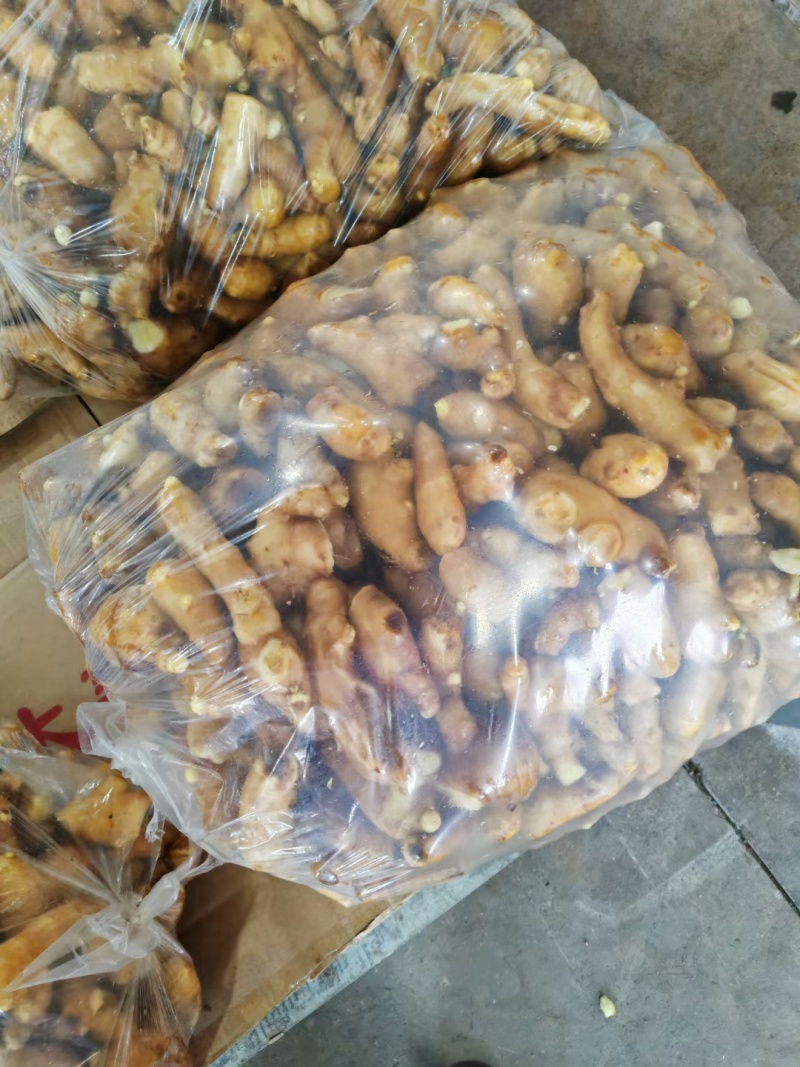 大量供应电商姜巴