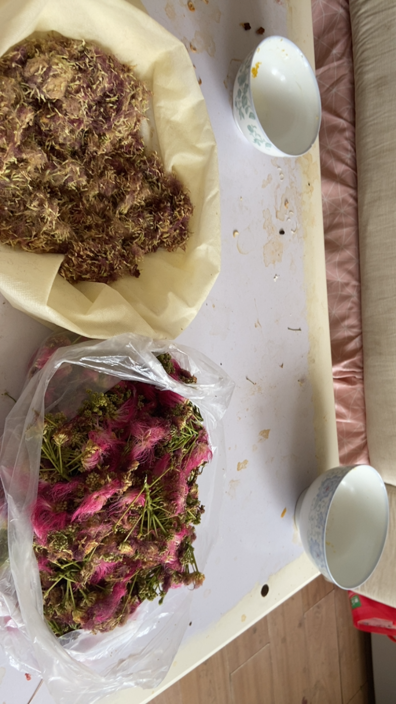 合欢花，马缨花，绒花。
